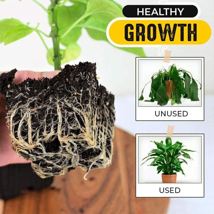 (Hot Sale- 48% OFF) đ„Quick Rooting Powder