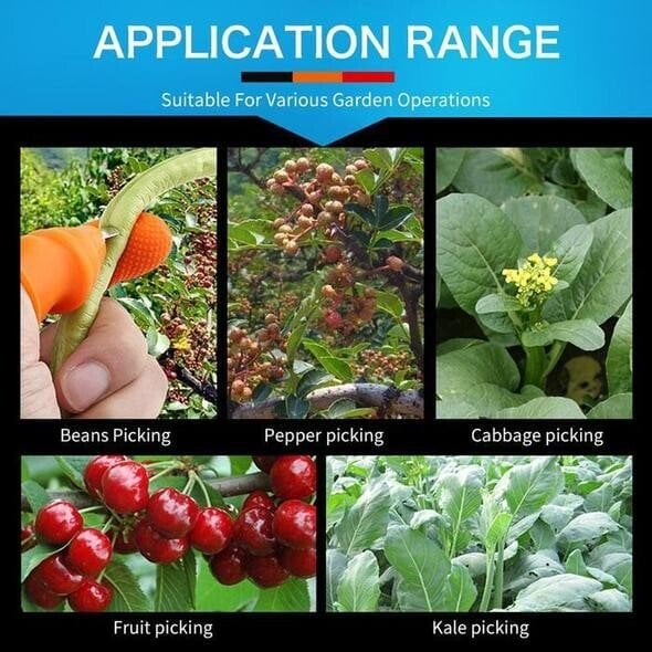 🔥GARDENING THUMB KNIFE🔥【HOT SALE-49%OFF🔥🔥🔥】